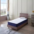 Whisen 6 Twin XL Hybrid Mattress, Foam Spring Mattress with Medium Soft, Motion Isolation & Pressure Relief