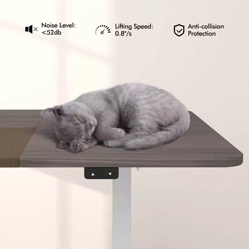 Bureau debout électrique réglable en hauteur – Poste de travail informatique assis-debout pour bureau à domicile