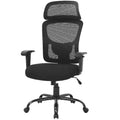 FDW Big and Tall Office Chair Mesh Chair with Lumbar Support and Adjustable Headres, Black